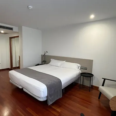 Hotel Gran Regente 4*